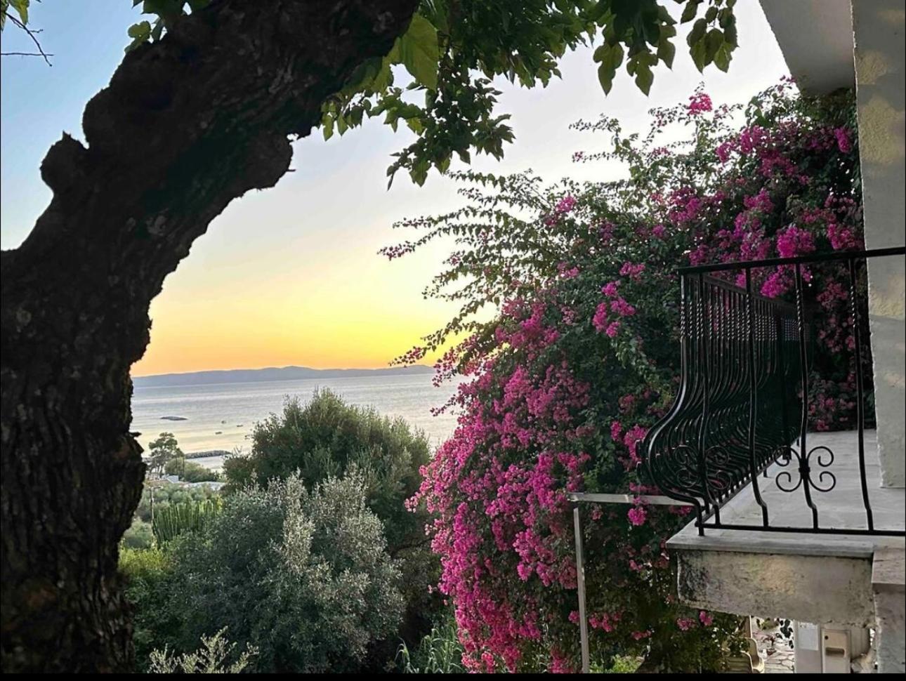 Villa pinelopi Kalamata Esterno foto